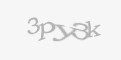 Защитный код