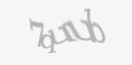 Защитный код