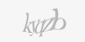 Защитный код