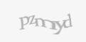 Защитный код