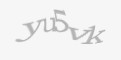 Защитный код