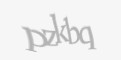 Защитный код