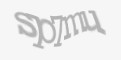 Защитный код