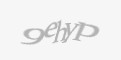 Защитный код
