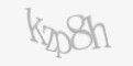 Защитный код